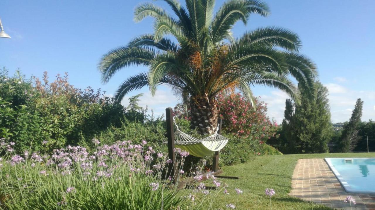Agriturismo La Vecchia Fonte * Castelbellino