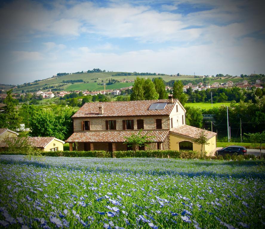 Agriturismo La Vecchia Fonte
